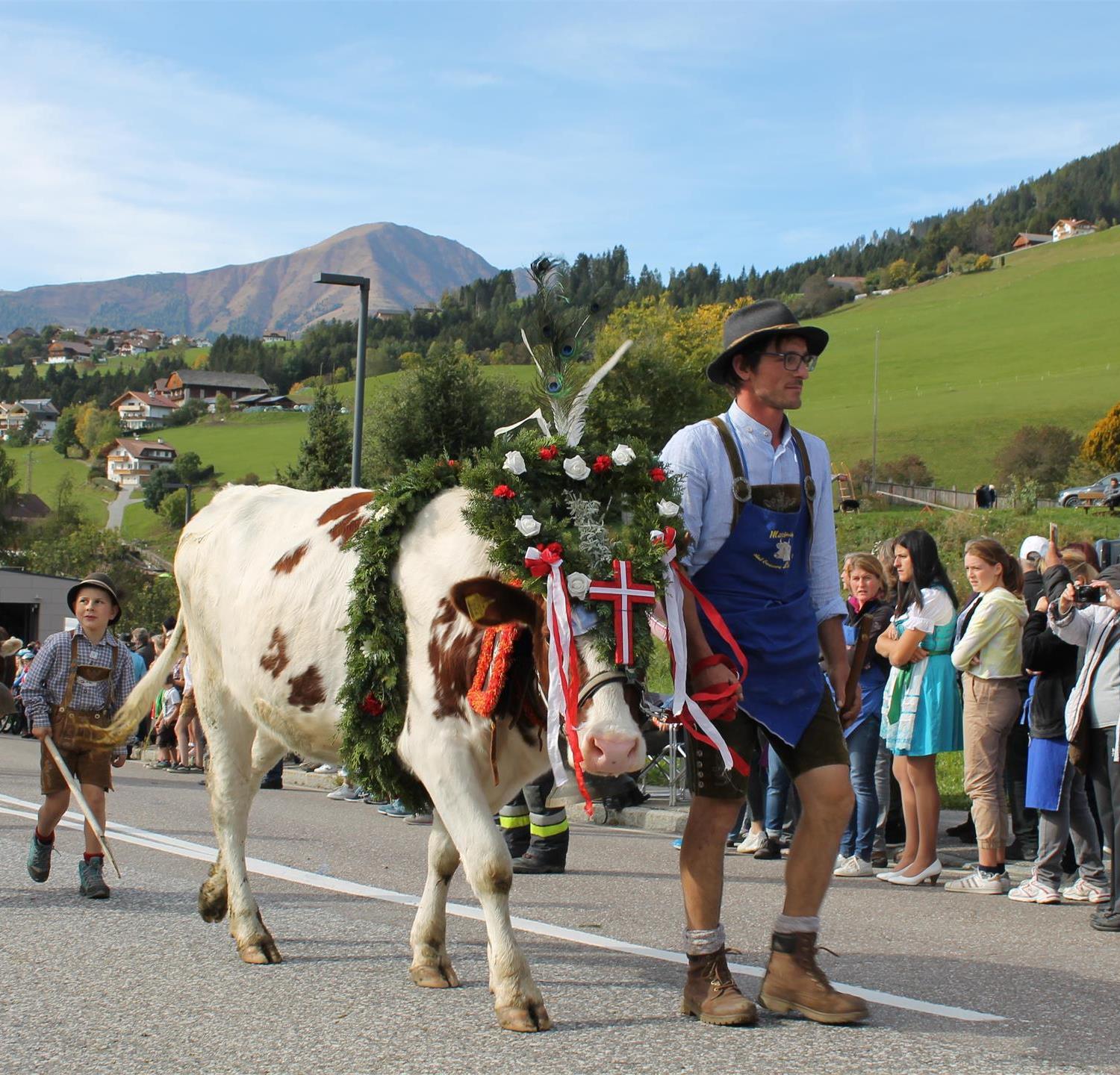 Foto per Ritorno dall'Alpeggio e festa a terento